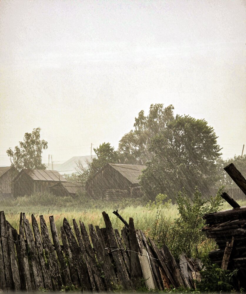 Photograph by Эльза Калюшева
