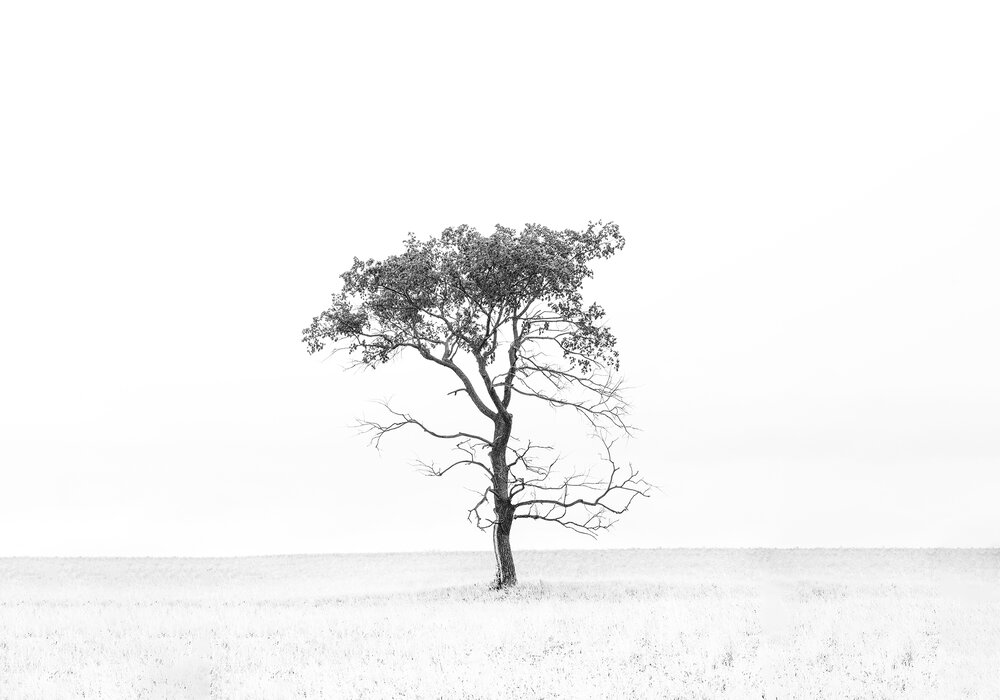 Photograph by Татьяна Бирюкова