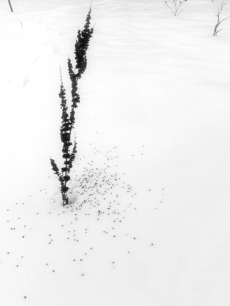 Photograph by Павел Алексеев