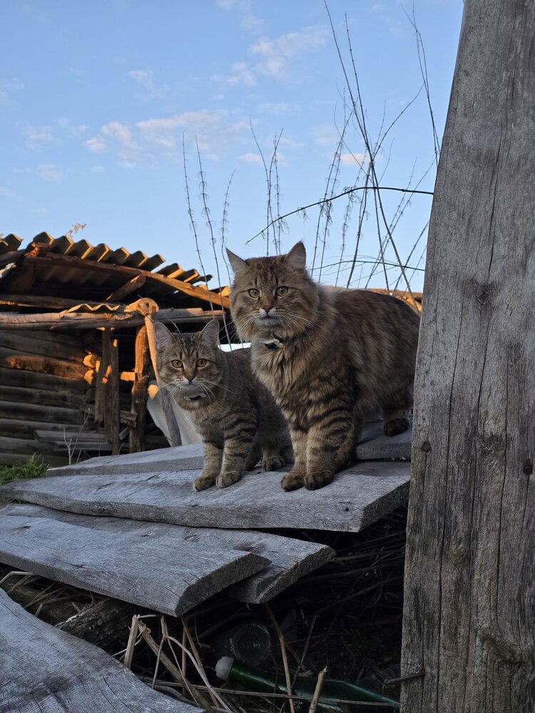 Photograph by Эльза Калюшева