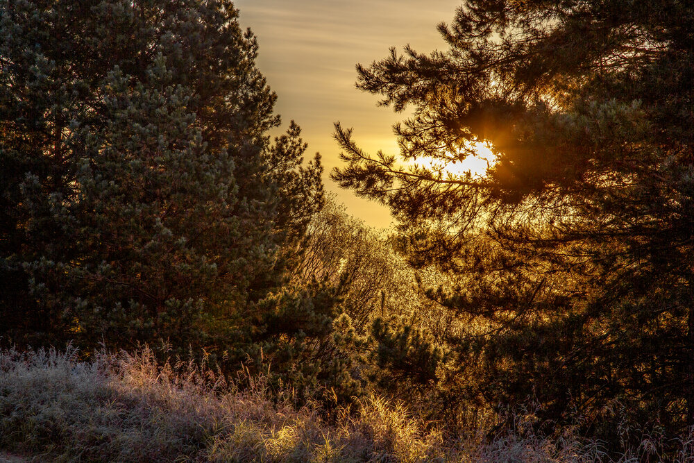Photograph by АНДРЕЙ АБАКУМОВ