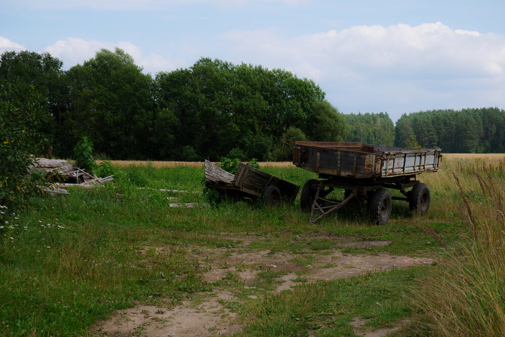 Photograph by ВИКТОРИЯ СЕЛЕТЫЦКАЯ