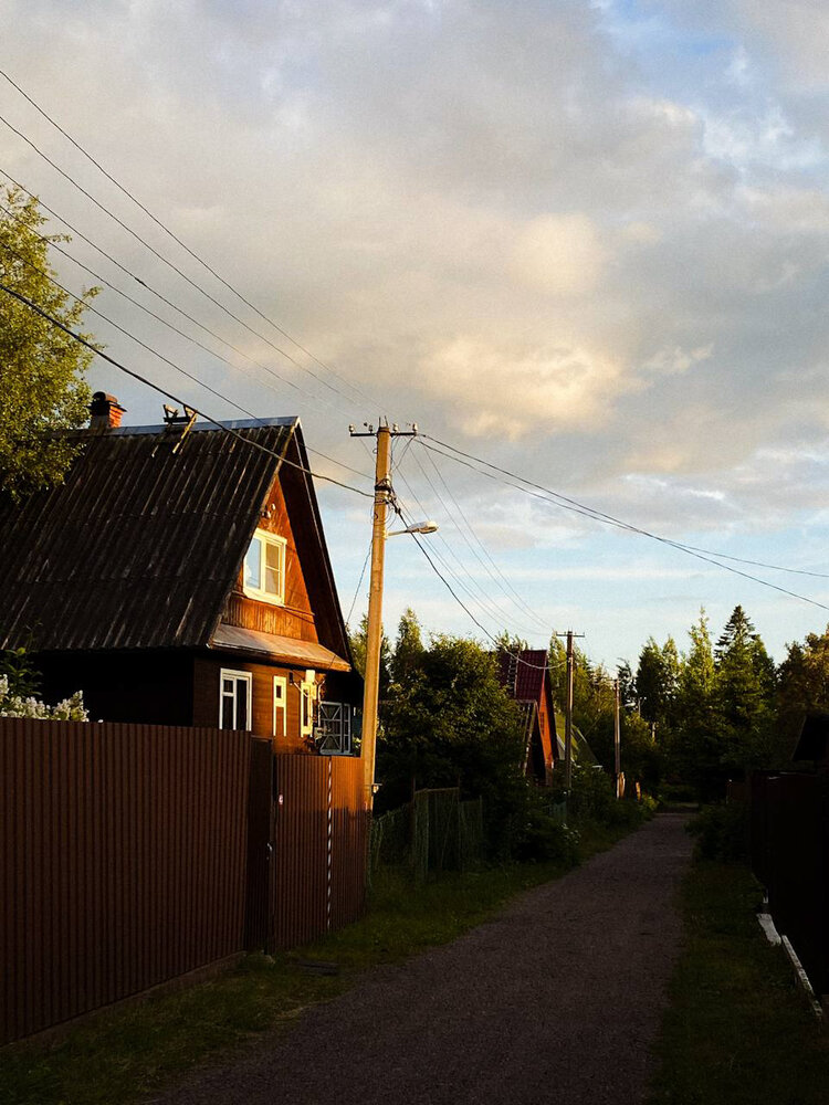 Photograph by Анастасия Гульванюк