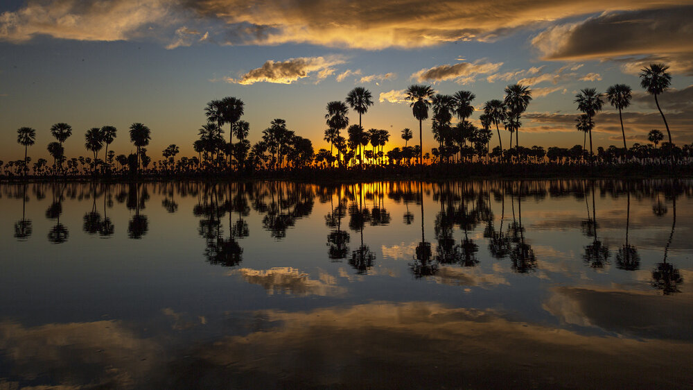 Photograph by eli gesualdo