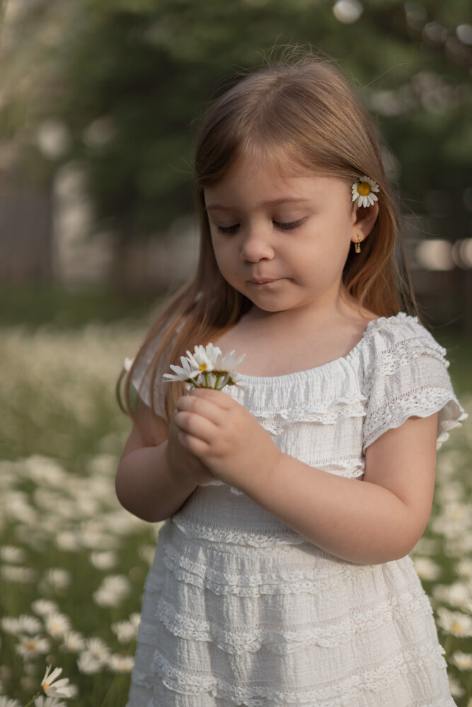 A Little Daisy Dream