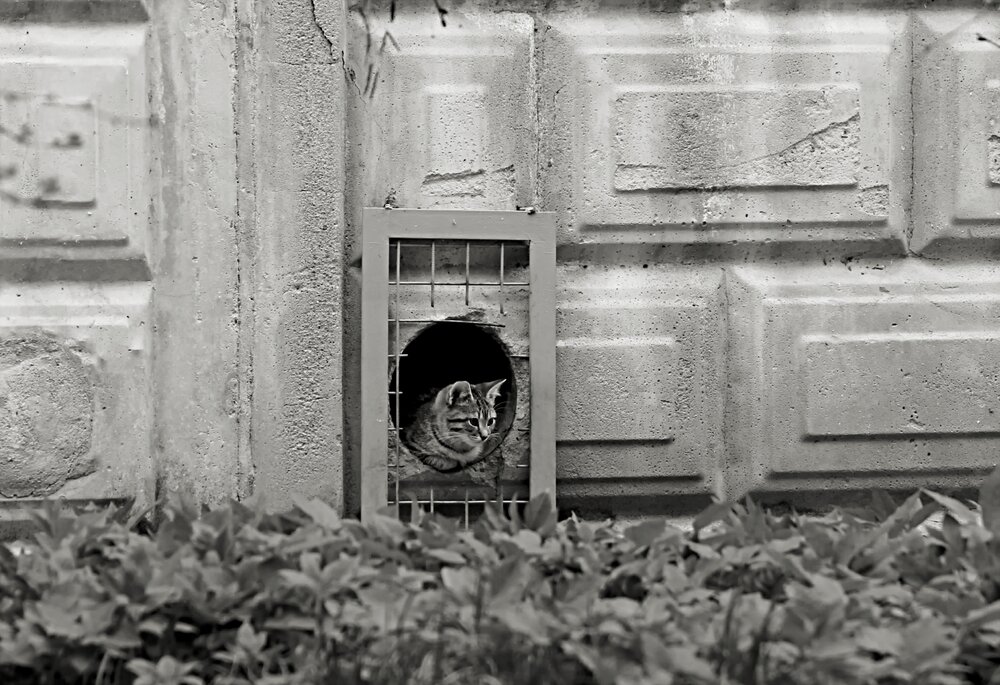 Photograph by Татьяна Слесарева