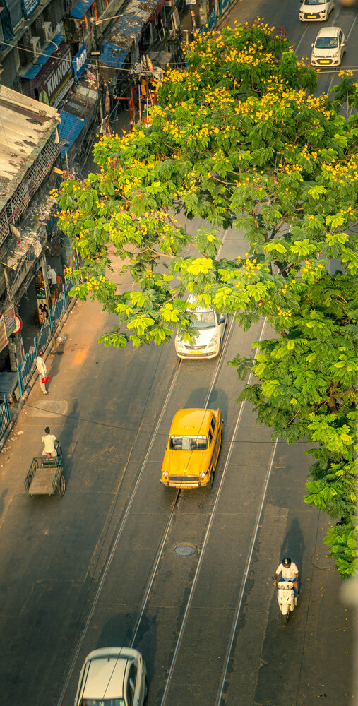 Photograph by Surajit Chattaraj