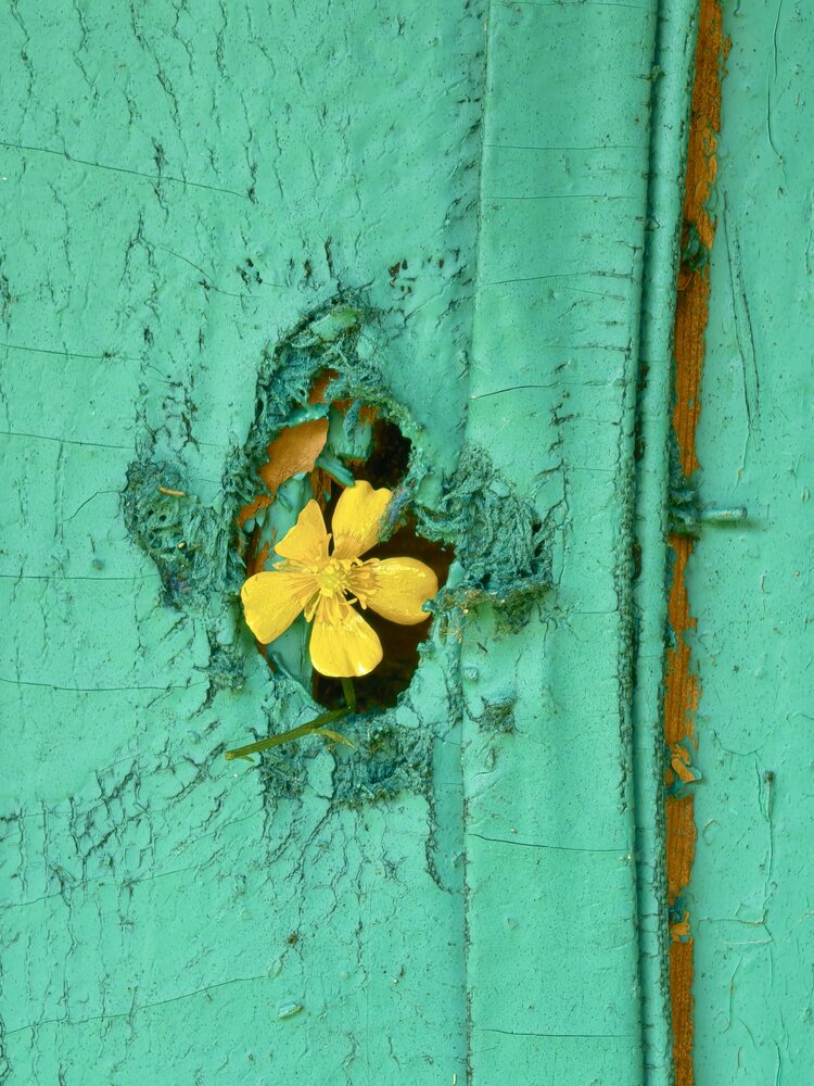 Photograph by Елена Охапкина