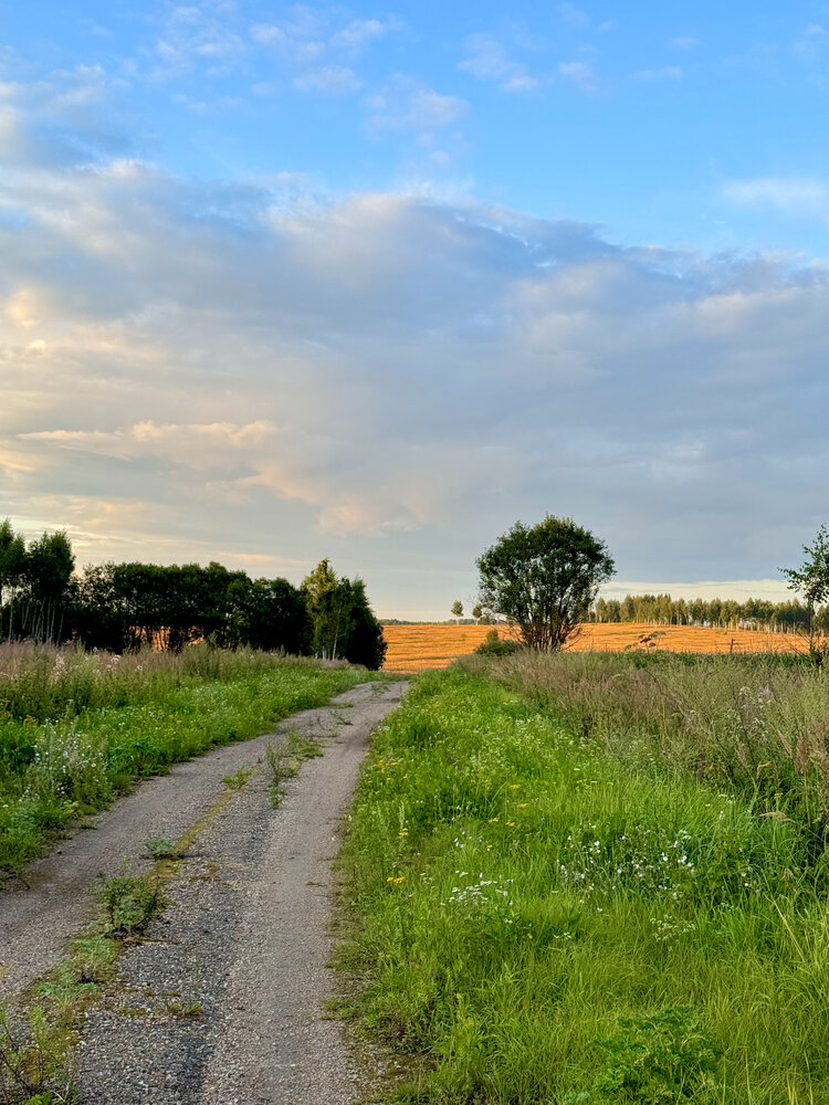 Фотография автора Мария Шарова