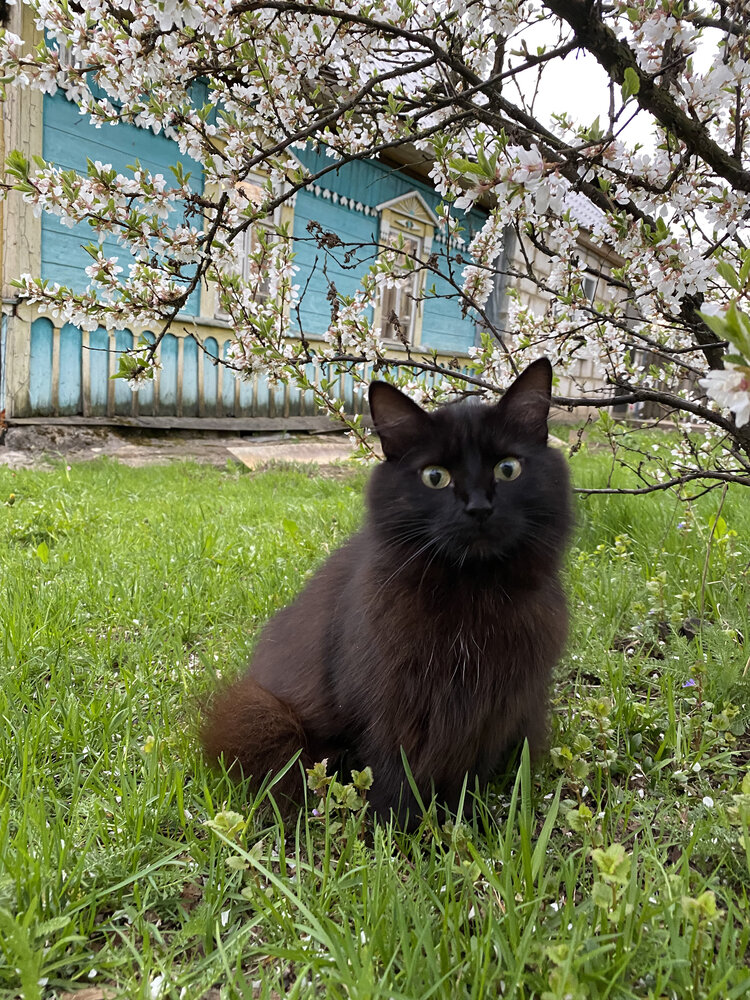 Фотография автора Мария Шарова
