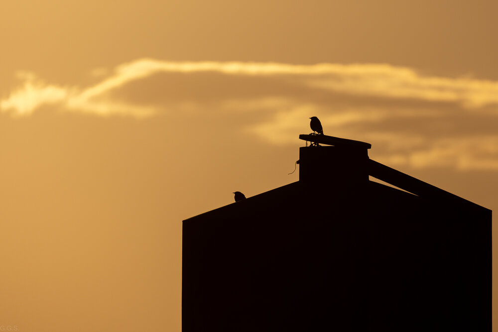 Photograph by Георгий