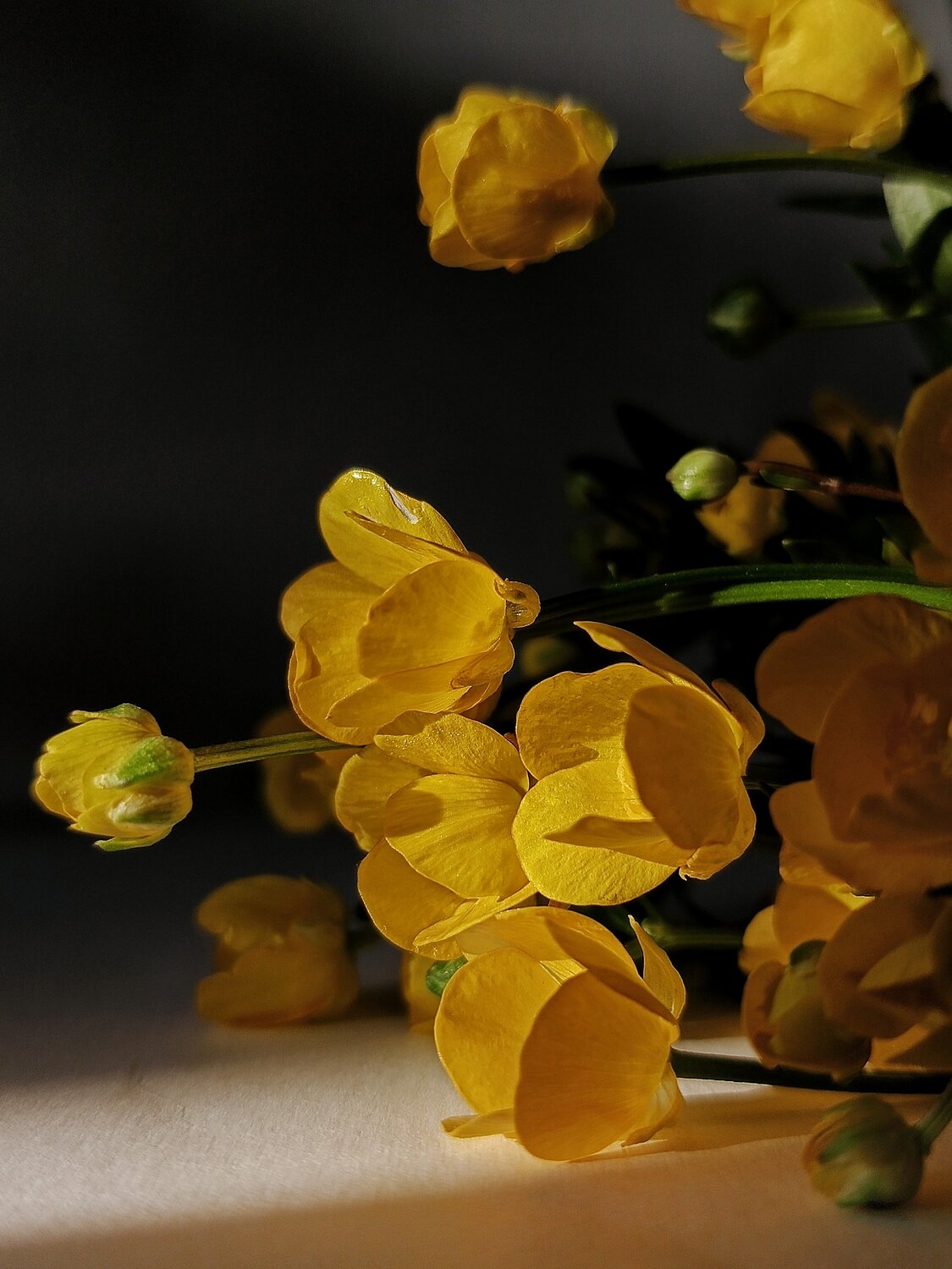 Photo #13826337