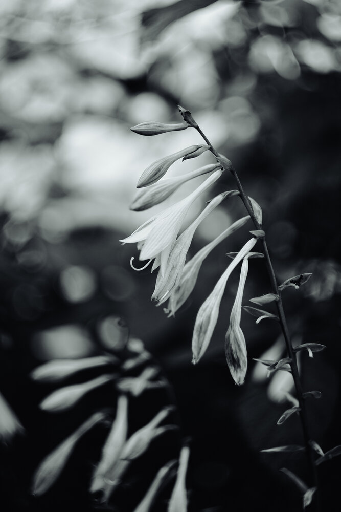 Photograph by Айдар Ибрагимов
