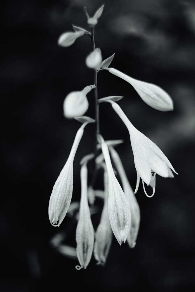 Photograph by Айдар Ибрагимов