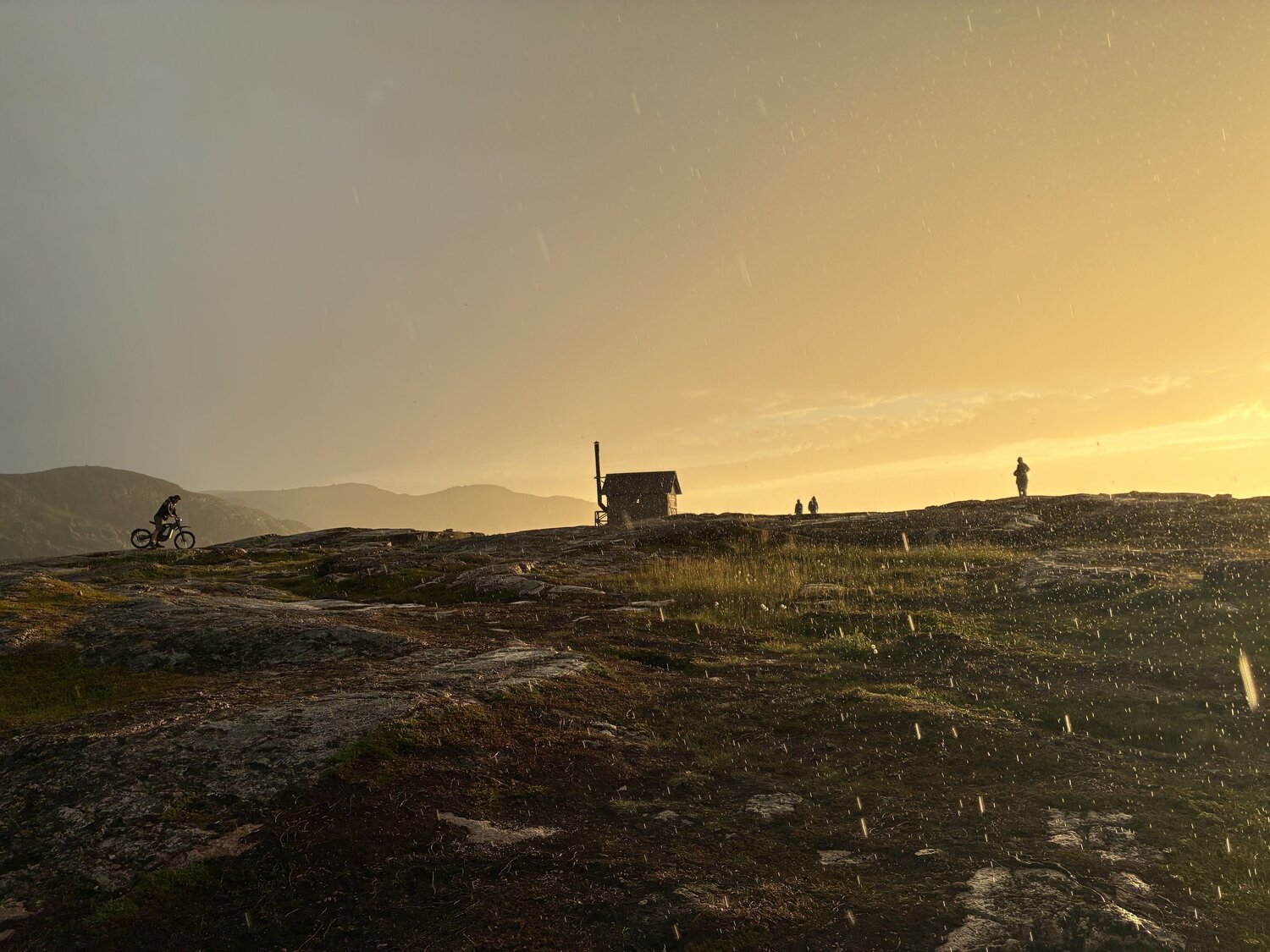 Photo #13826451