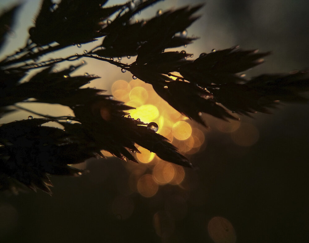 Photograph by Елена Опалева