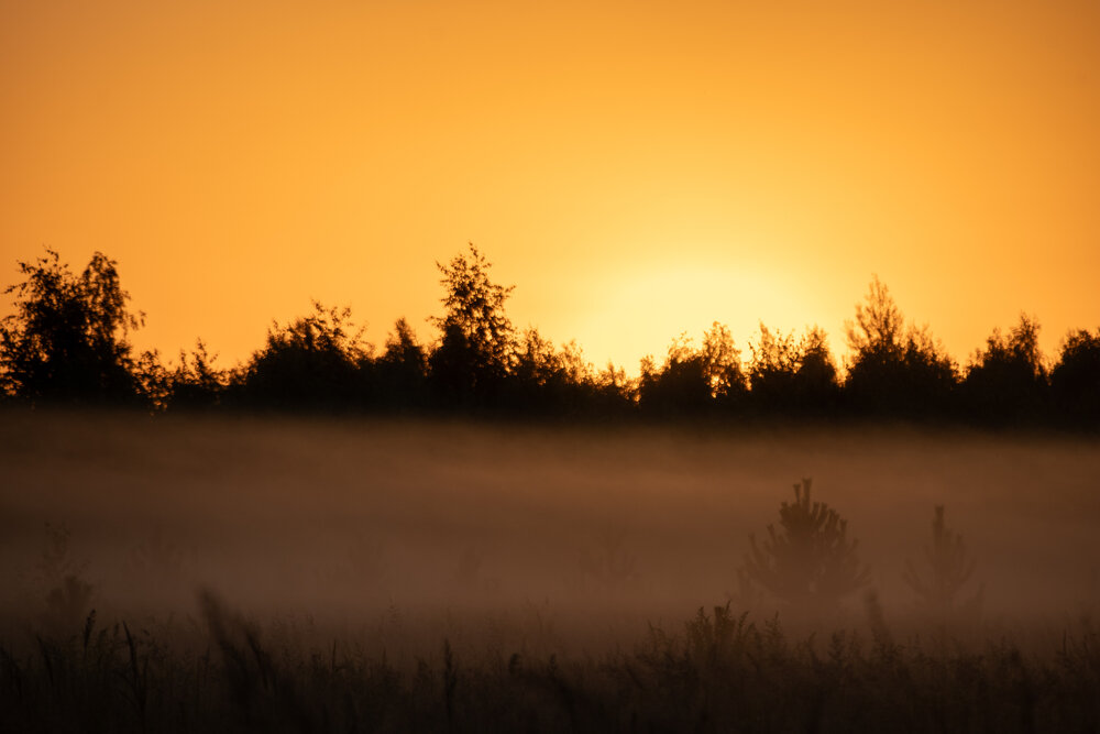 Photograph by Даниил Пузаков