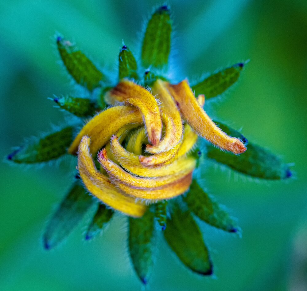 Photograph by Николай Нестеренко