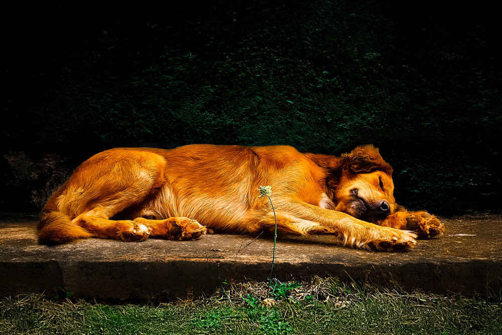 Photograph by Alberto Debs Rosales