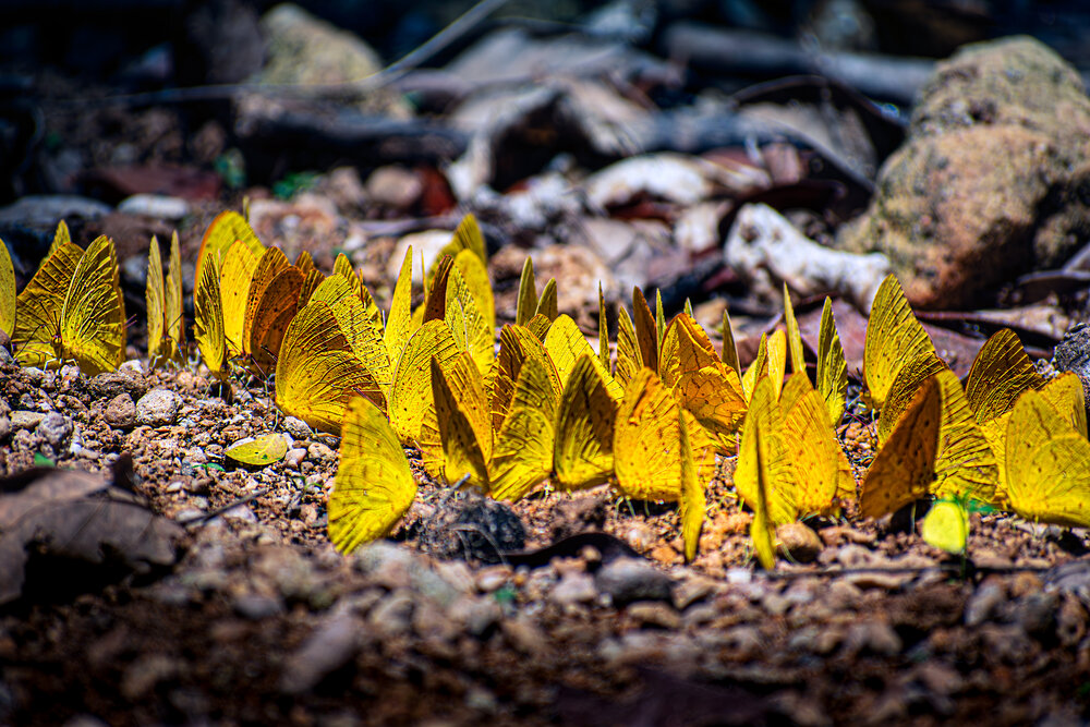 Photograph by Alberto Debs Rosales
