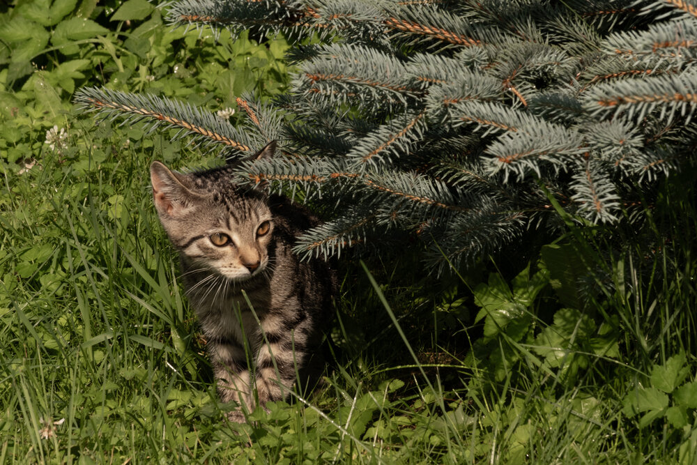 Photograph by Лариса Андреева