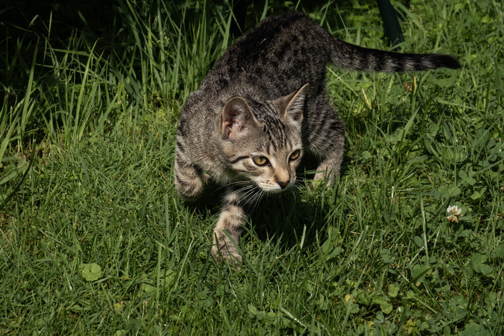Photograph by Лариса Андреева