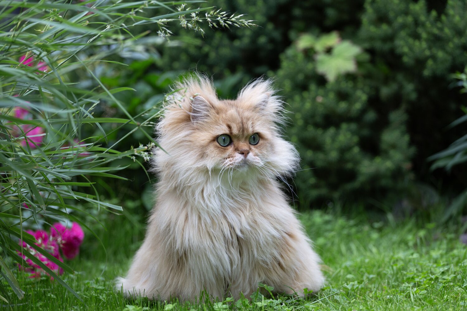 Photo #13826691