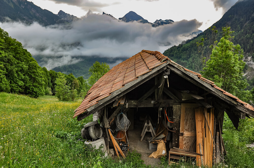 Photograph by Dmitry