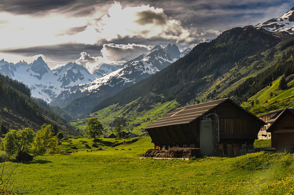 Photograph by Dmitry