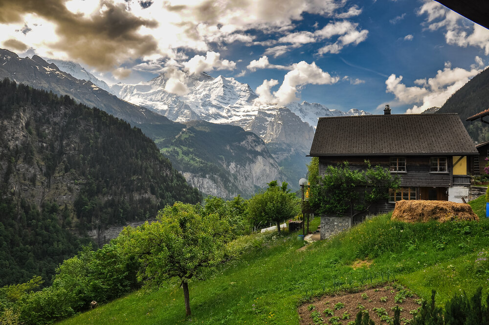 Photograph by Dmitry