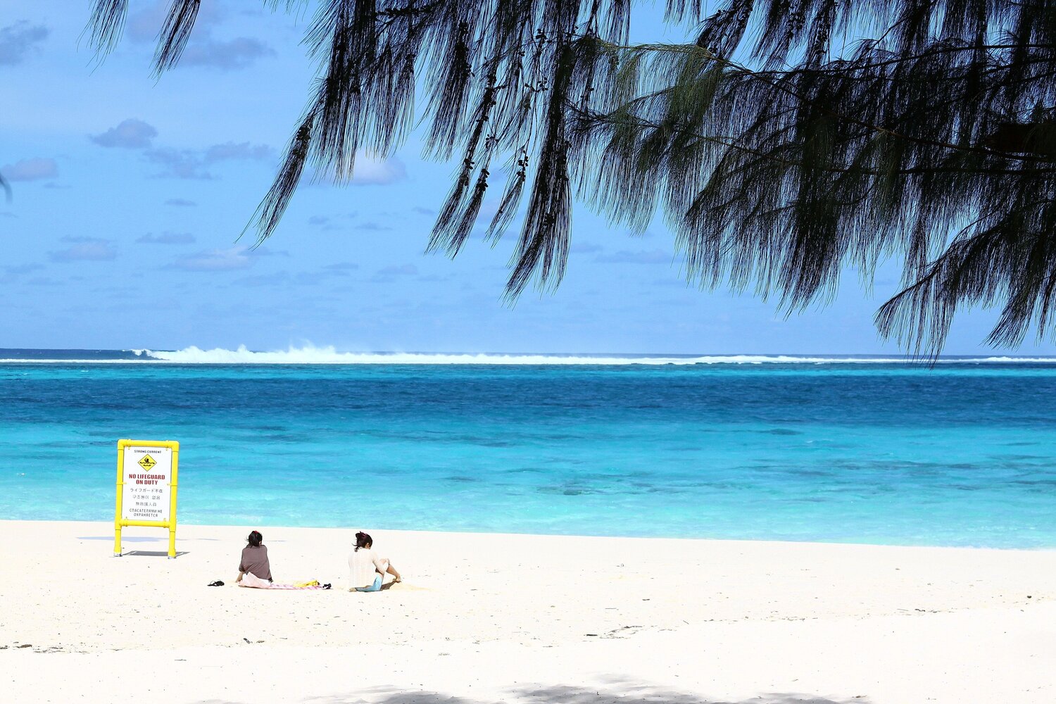 Photo #13826793
