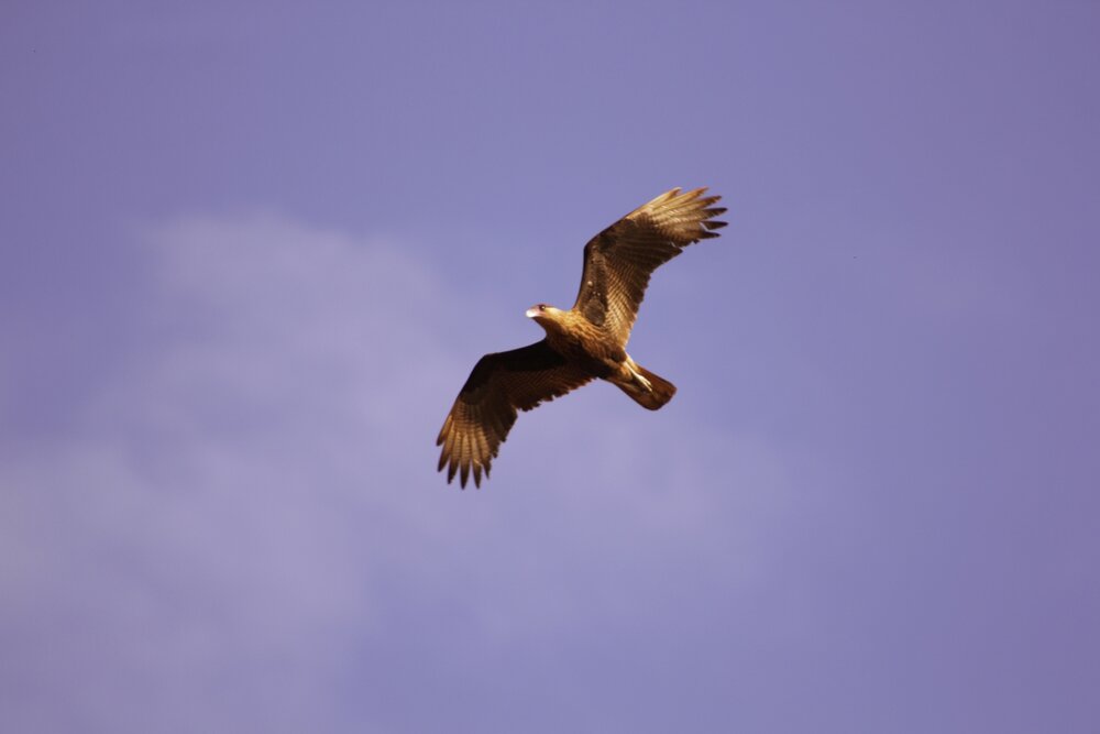 Photograph by Régis Santos