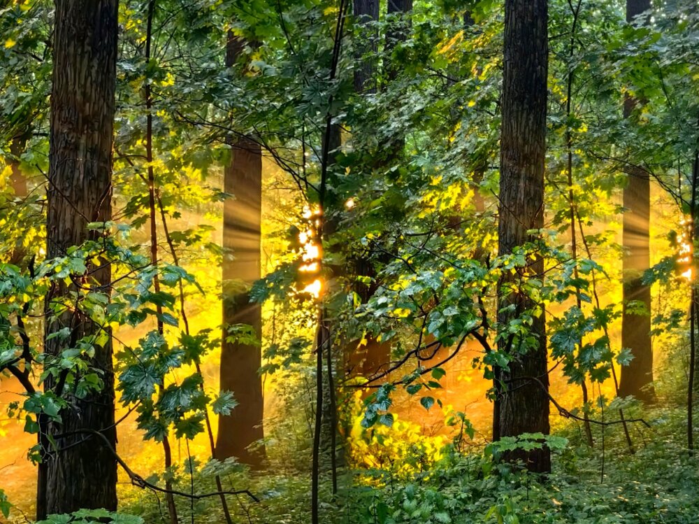 Фотография автора Владислав Карасев