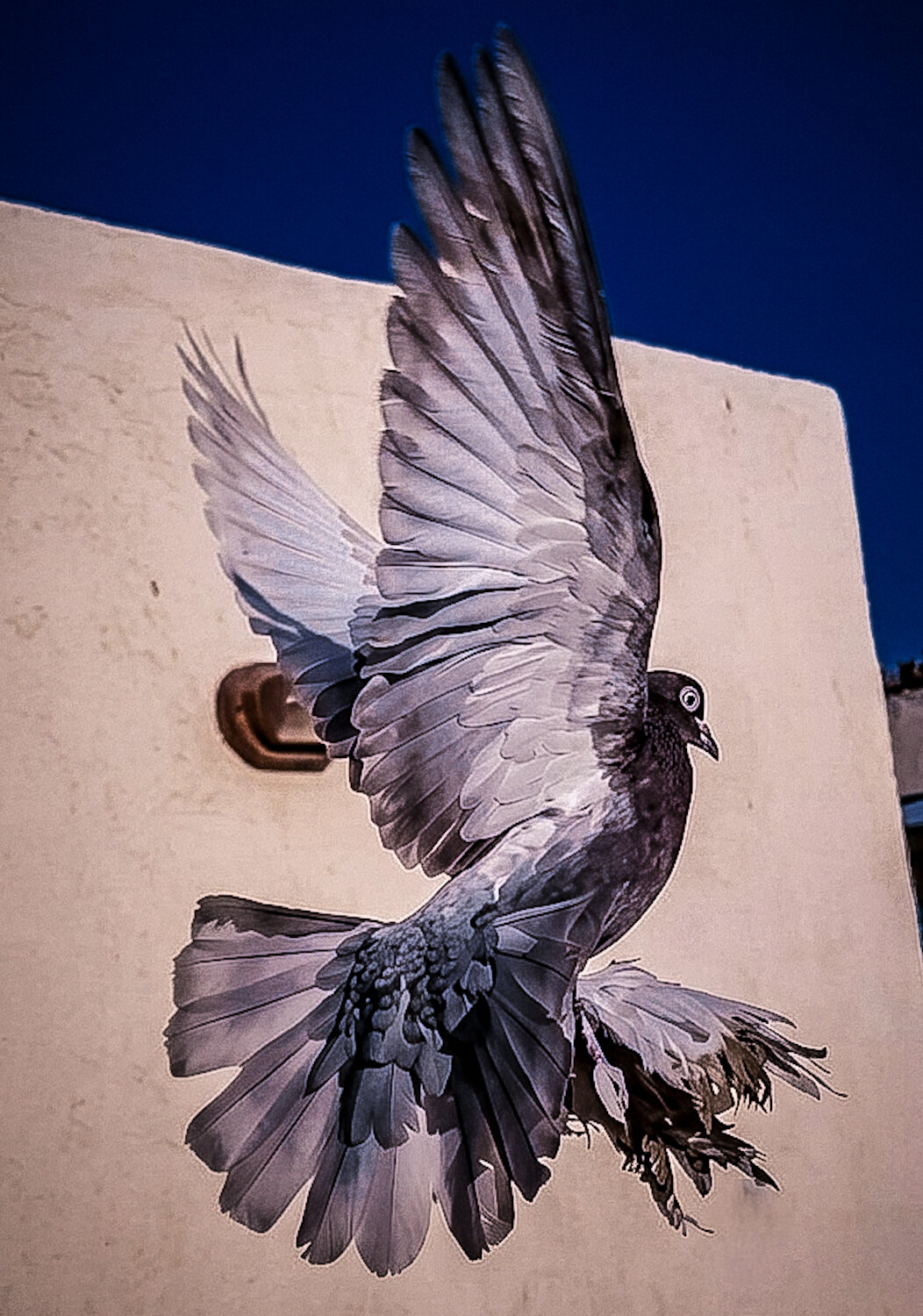 Grace in Flight