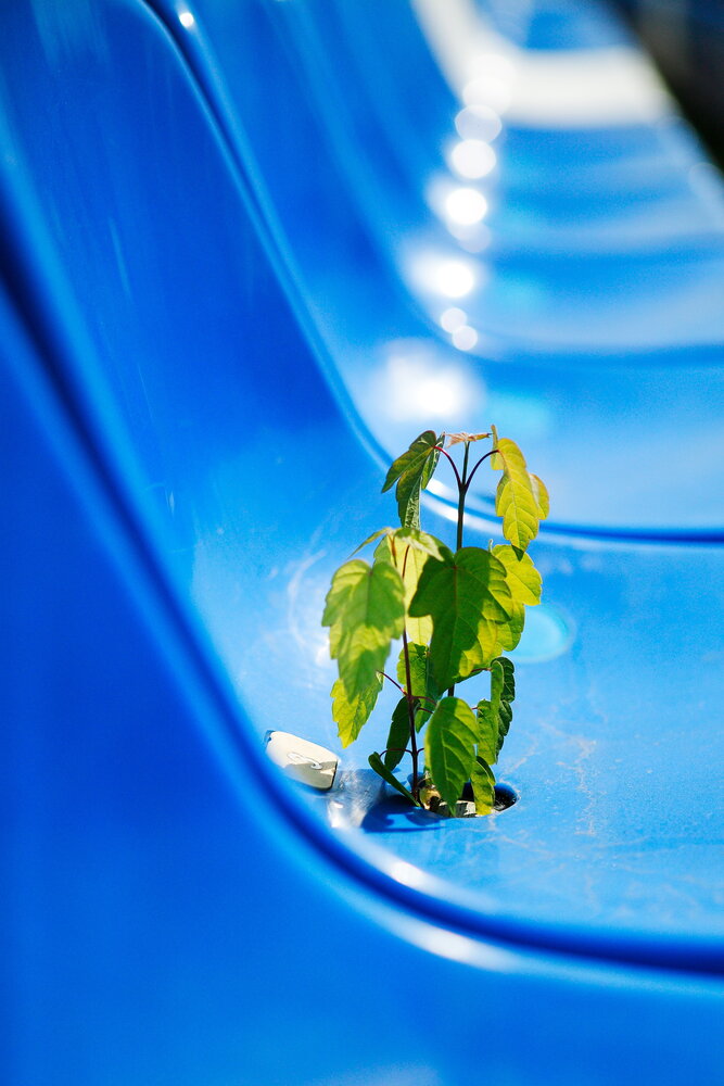 Photograph by Михаил Дронов