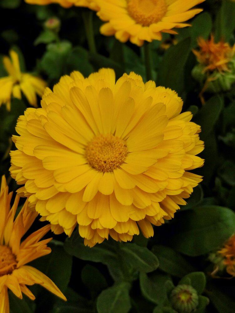 Photograph by Agnibha Das
