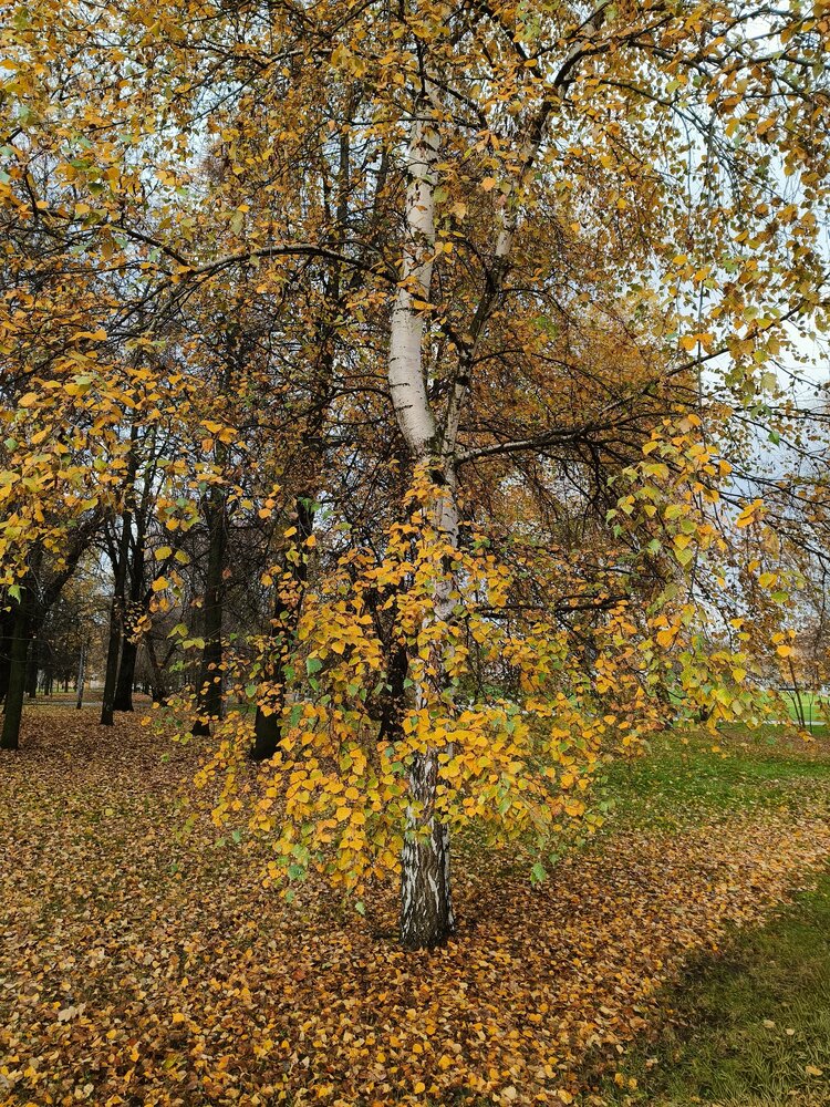 Photograph by Маргарита Погодина
