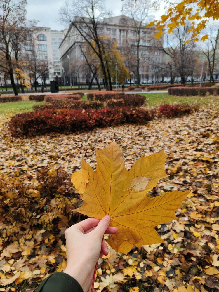 Photograph by Маргарита Погодина