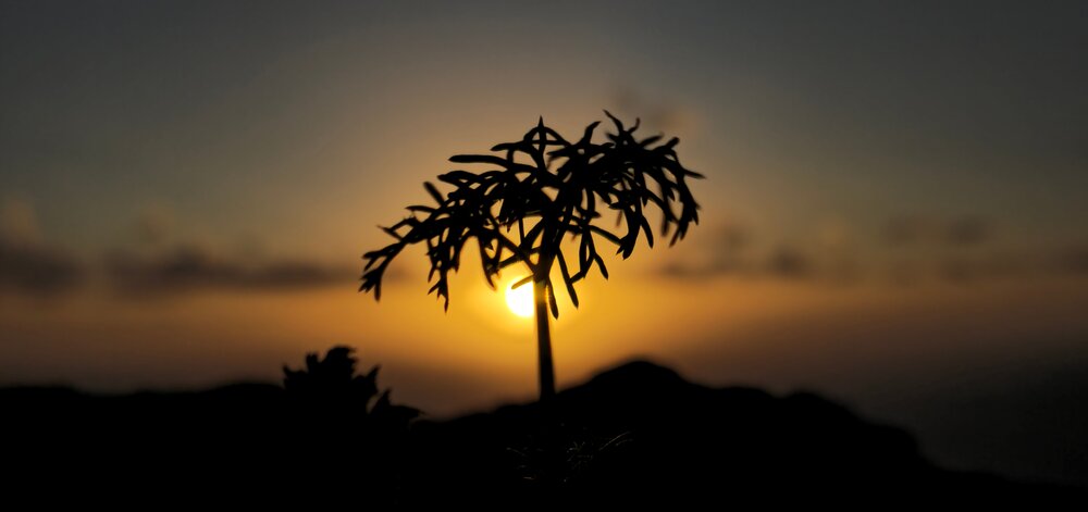 Photograph by Bartłomiej Grybel