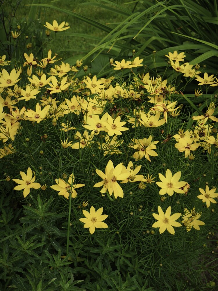 Photograph by Татьяна Алексеева
