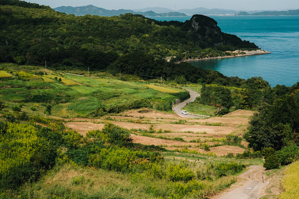Photograph by y tanco