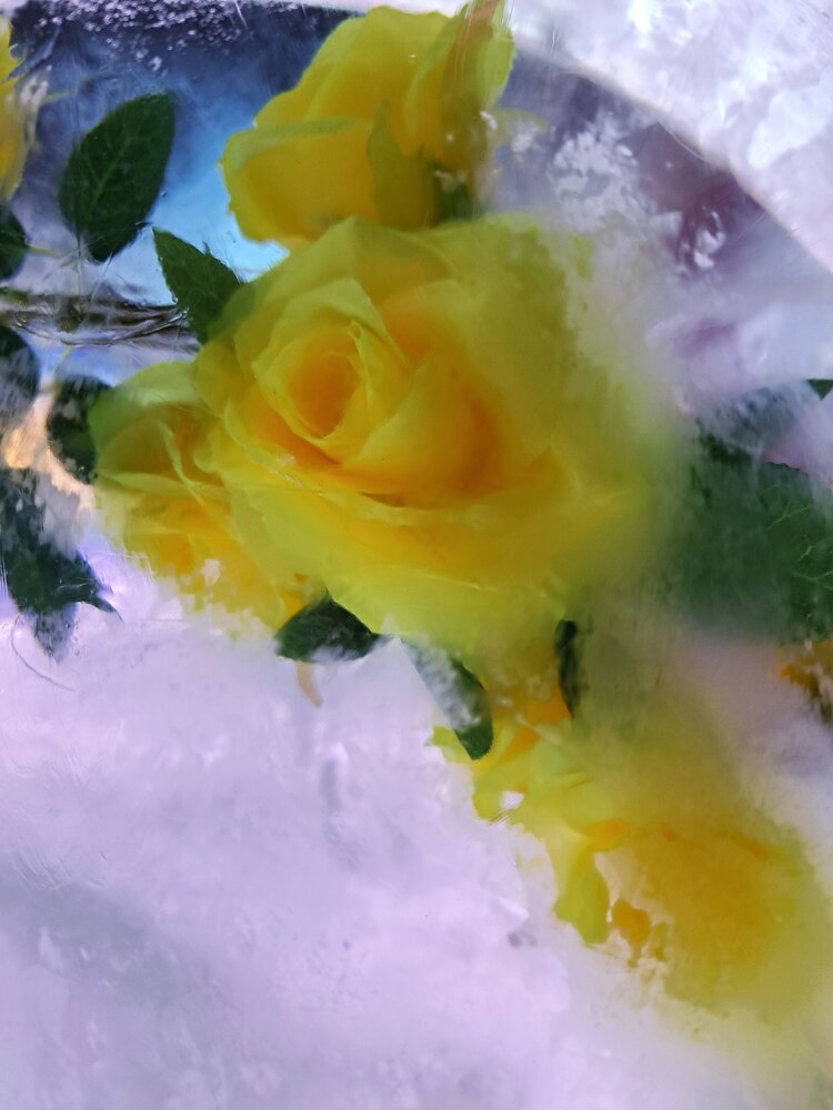 Photograph by Оксана Юдина