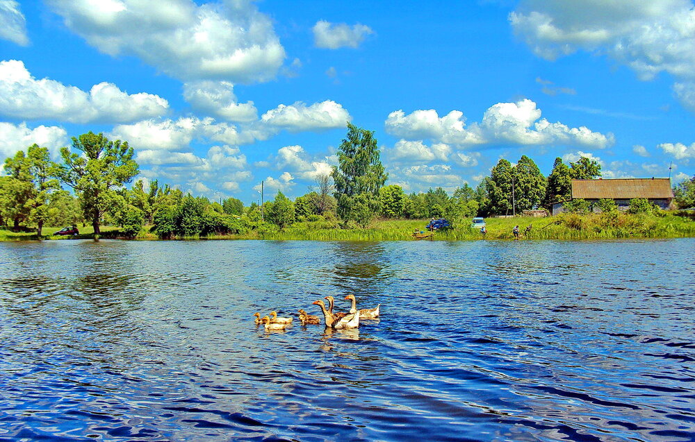 Photograph by Виталий Симоненков