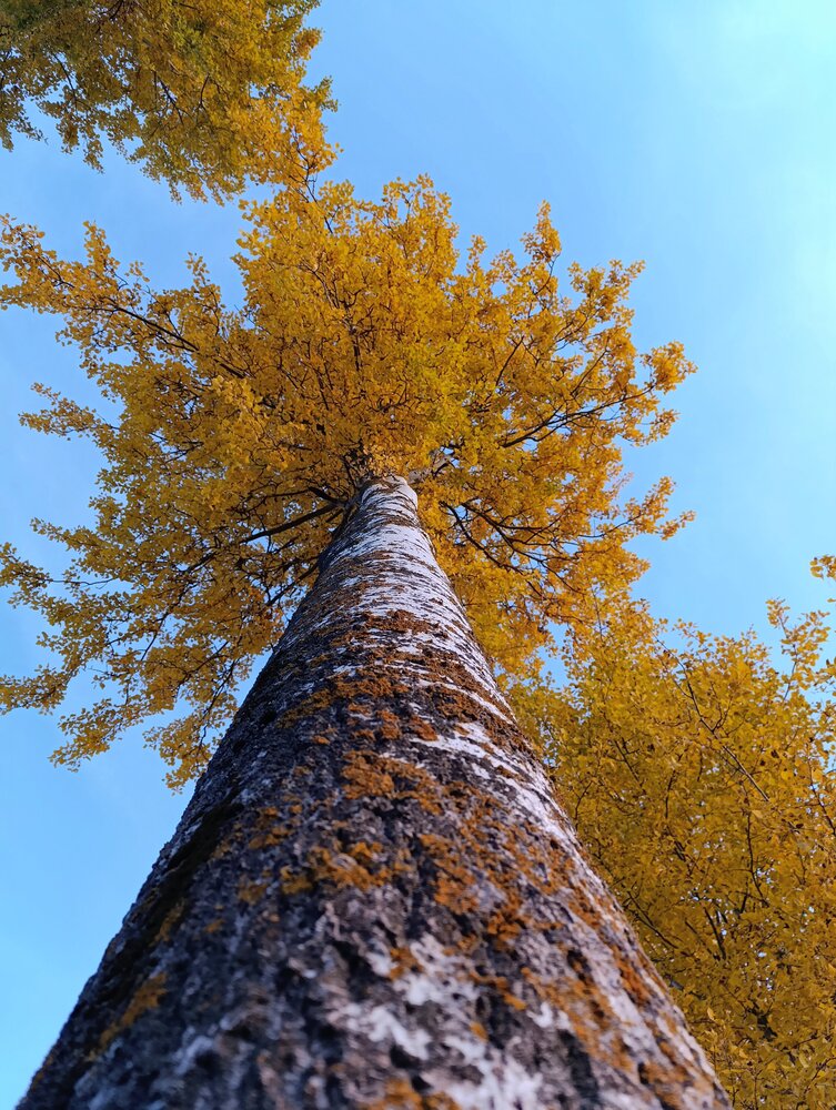 Photograph by Юрий Гордеев