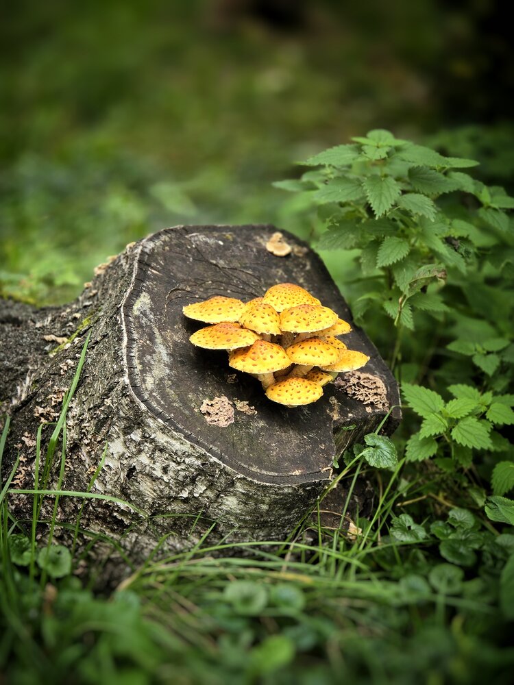 Photograph by Елена Ласун