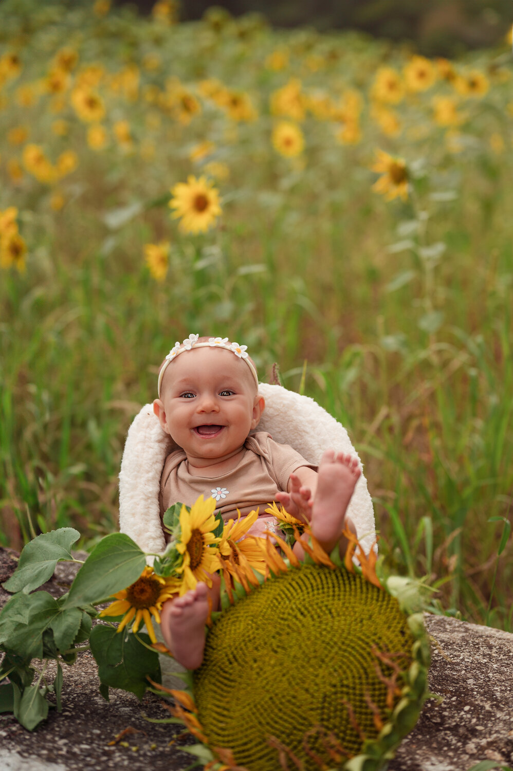 Photo #13827209