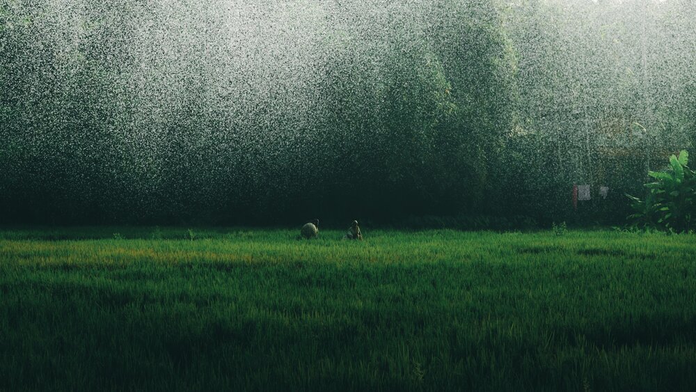 Photograph by GOKUL KRISHNA
