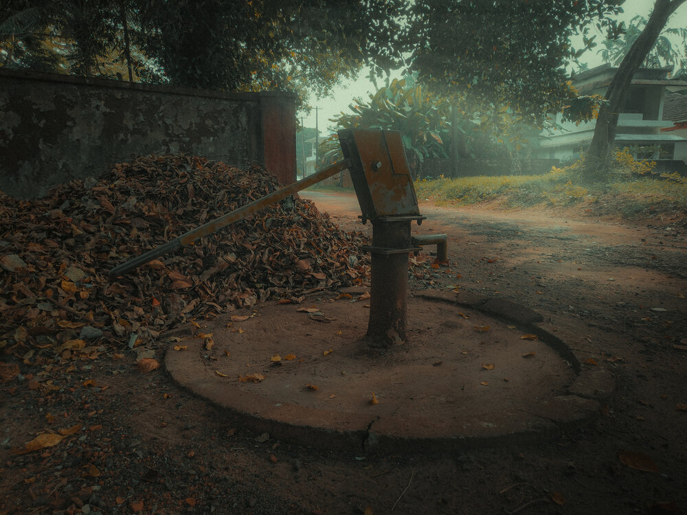 Photograph by GOKUL KRISHNA