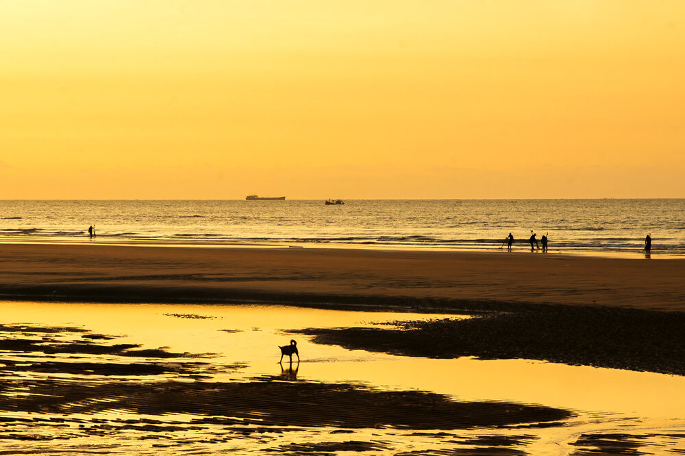 Photograph by Ly Phu Tai