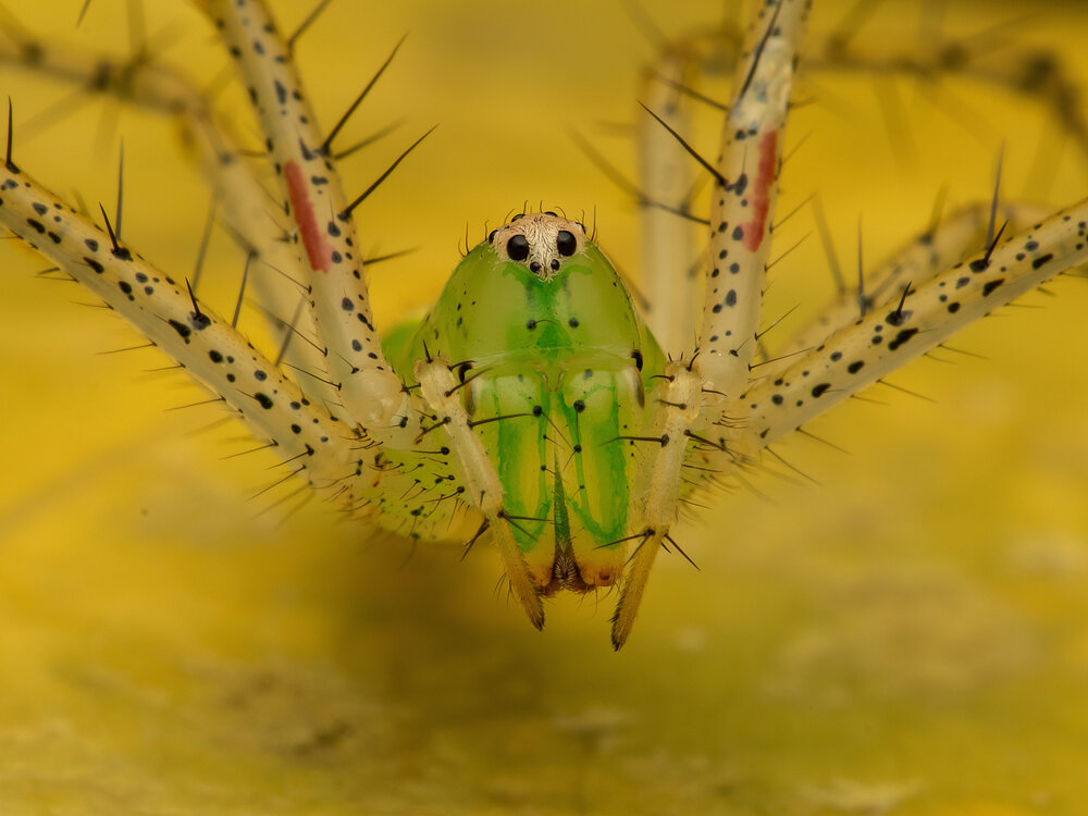 Photograph by Soujanya Bhadra